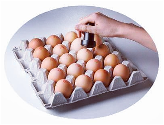 yumurta damgalama makinasi